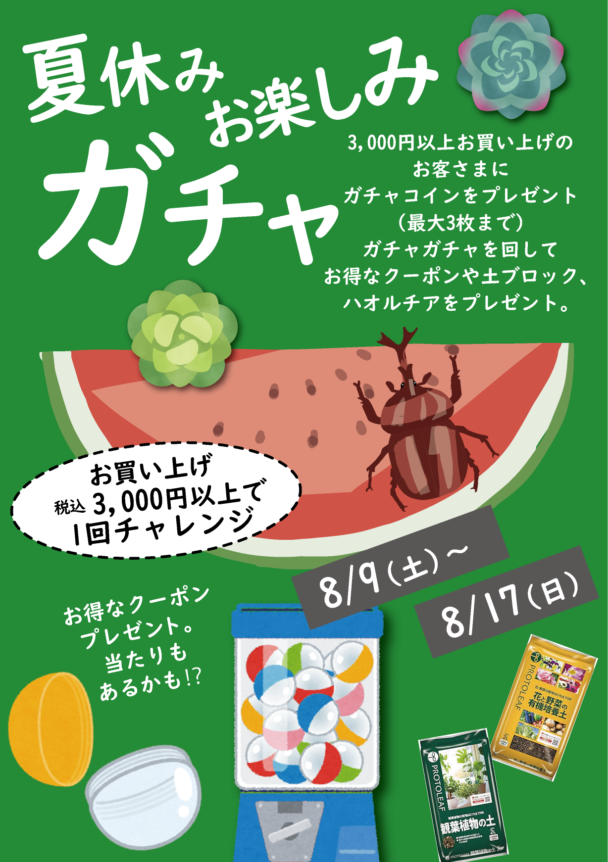 【二子玉川本店】8月のイベント情報