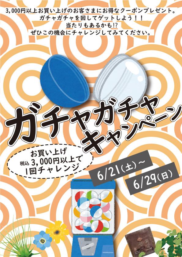 【二子玉川本店】6月のイベント情報#2