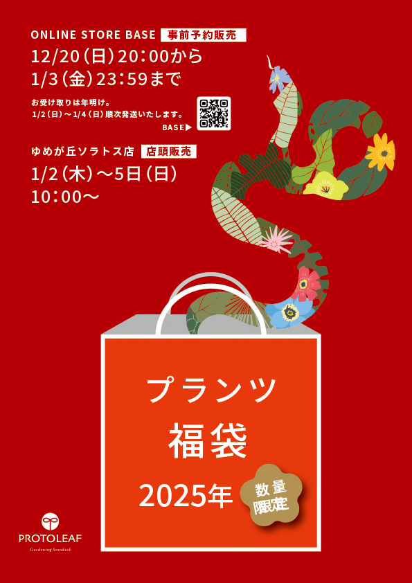 【ゆめが丘ソラトス店】１月のイベント・新着商品情報