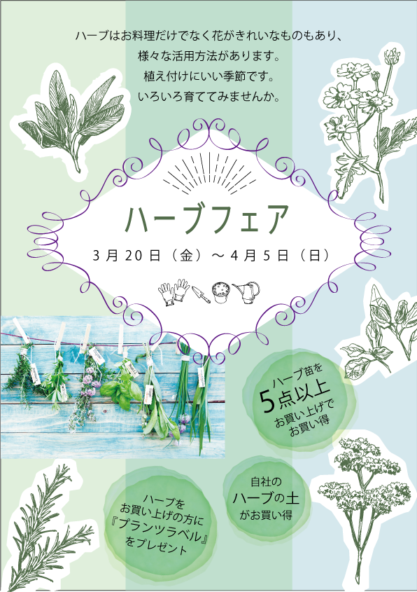 【二子玉川本店】3月のイベント情報