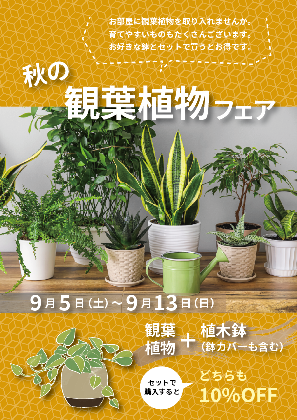 【二子玉川本店】9月のイベント情報