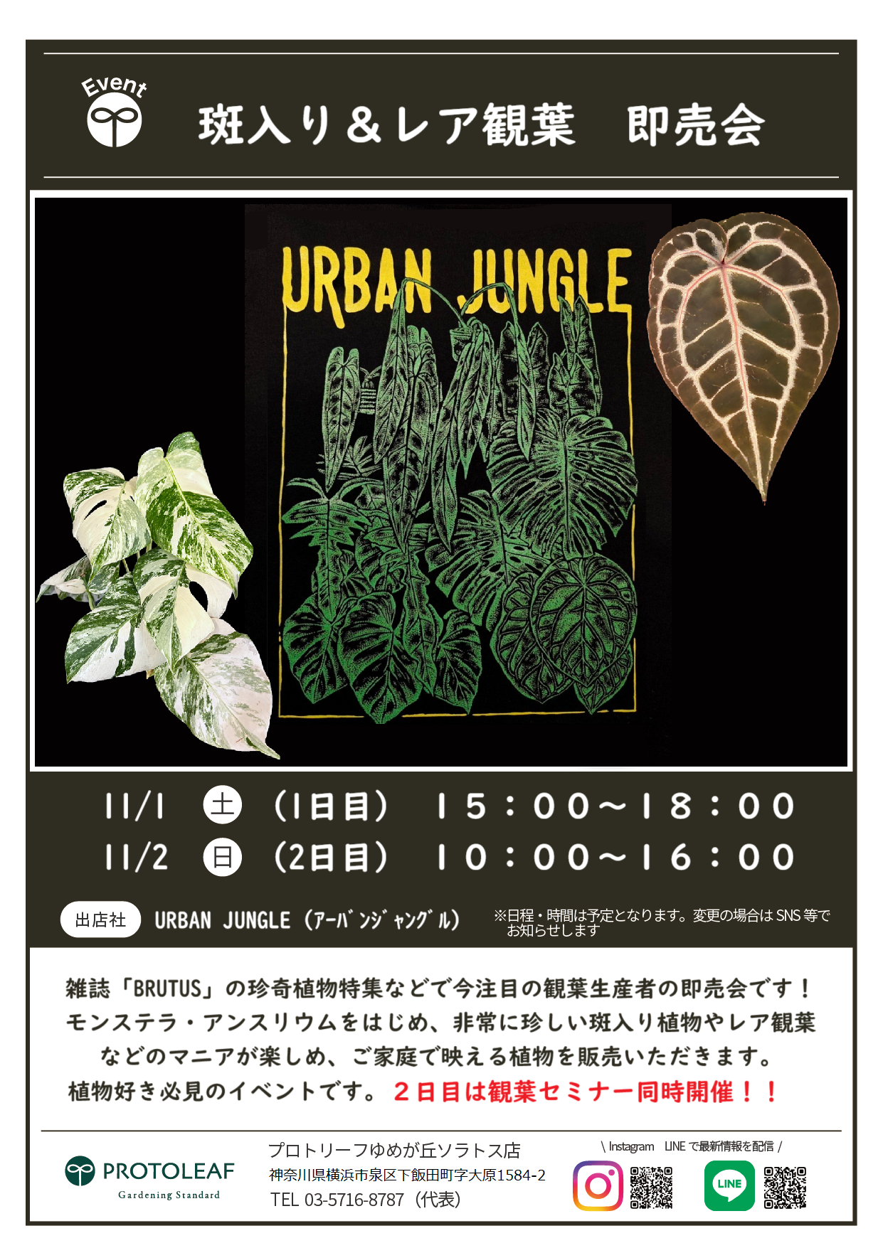 【ゆめが丘ソラトス店】11月のイベント情報