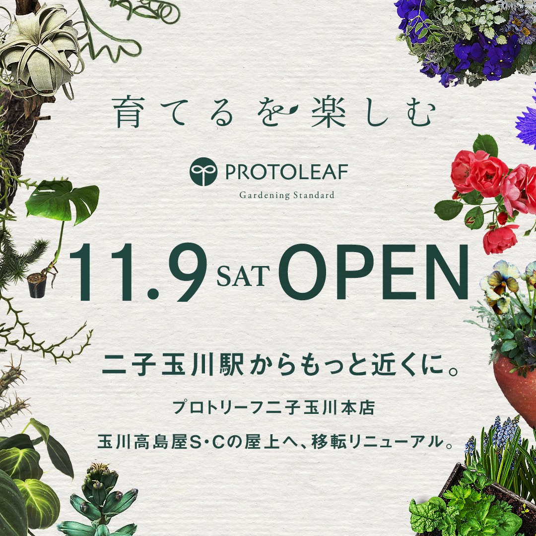 【二子玉川本店】リニューアルオープンのお知らせ