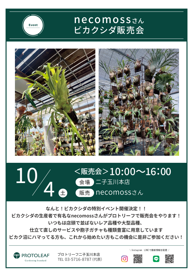 【二子玉川本店】10月のイベント情報