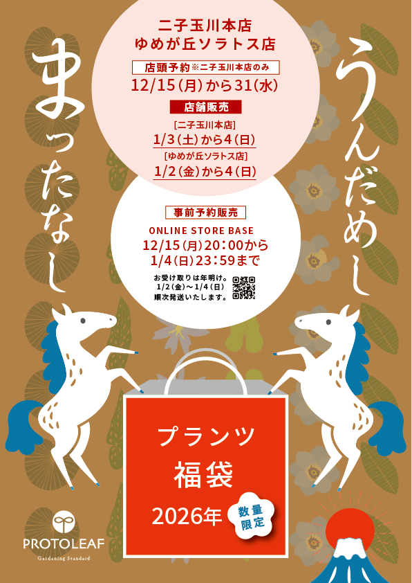 【ゆめが丘ソラトス店】12月のイベント情報