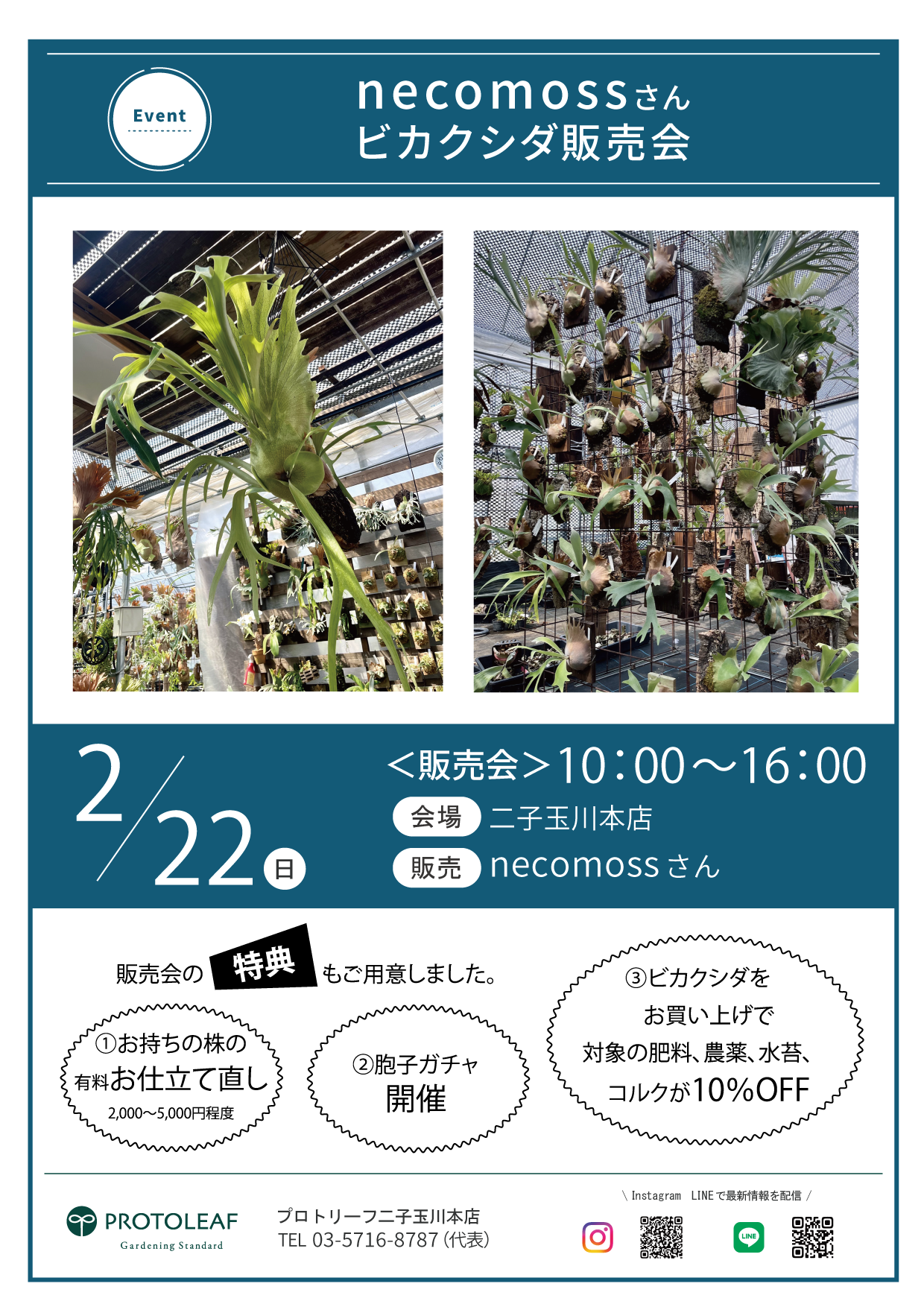 【二子玉川本店】2月のイベント情報#2