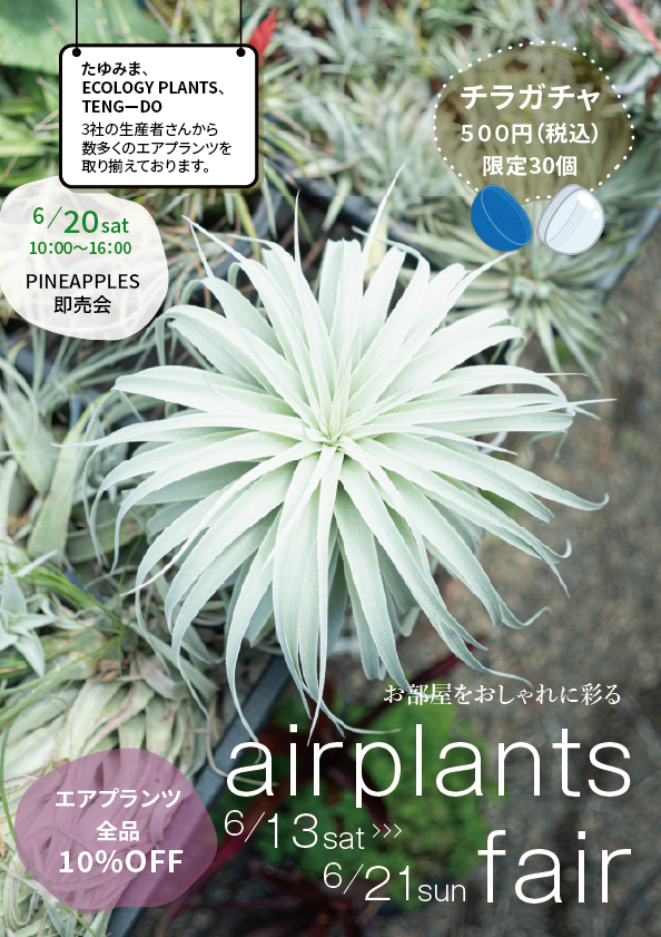 PROTOLEAF プロトリーフ