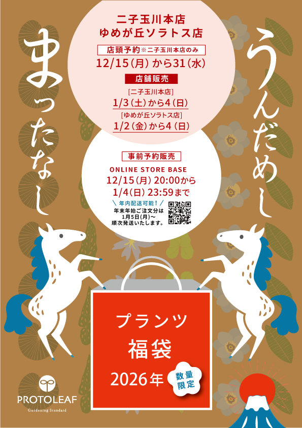 【二子玉川本店】1月のイベント情報