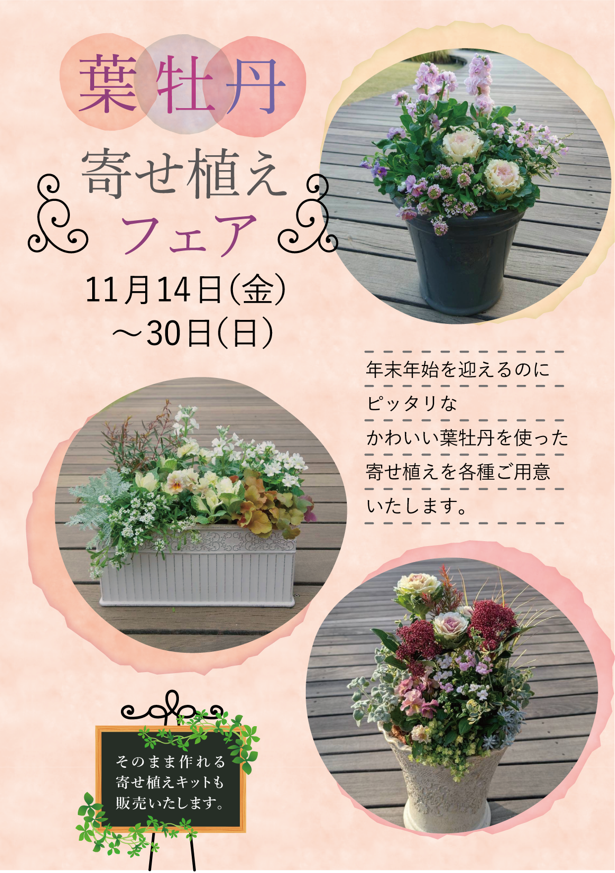 【二子玉川本店】11月のイベント情報#2