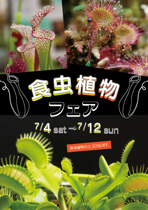 【二子玉川本店】7月のイベント情報