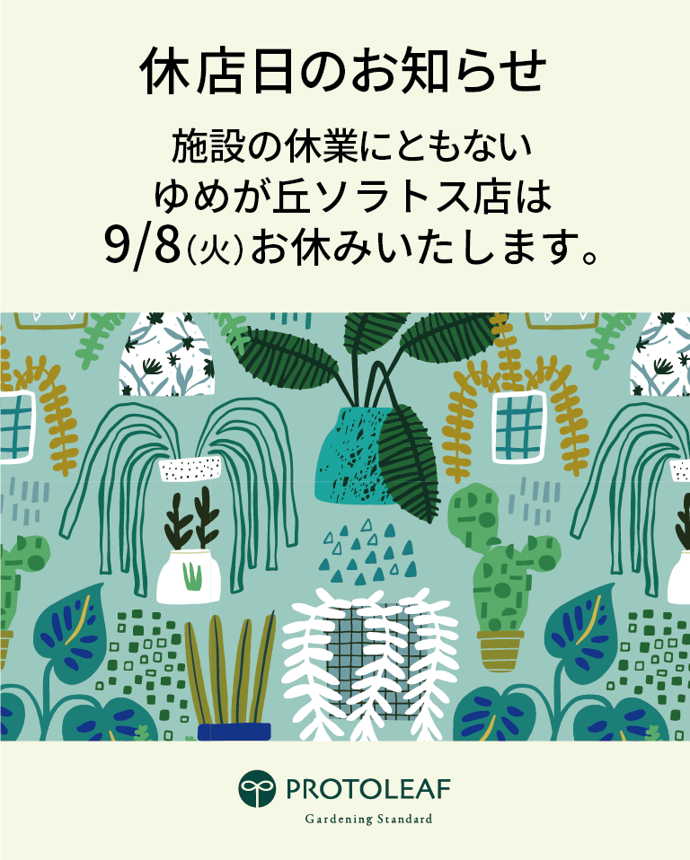 【ゆめが丘ソラトス店】9月のイベント情報