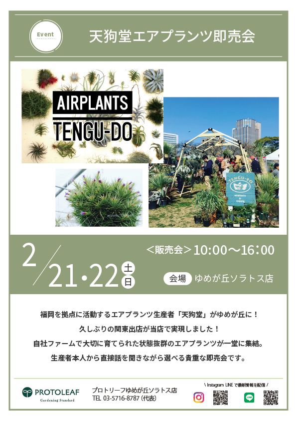 【ゆめが丘ソラトス店】２月のイベント情報#2