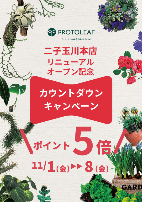 【ゆめが丘ソラトス店】１１月のイベント・新着商品情報