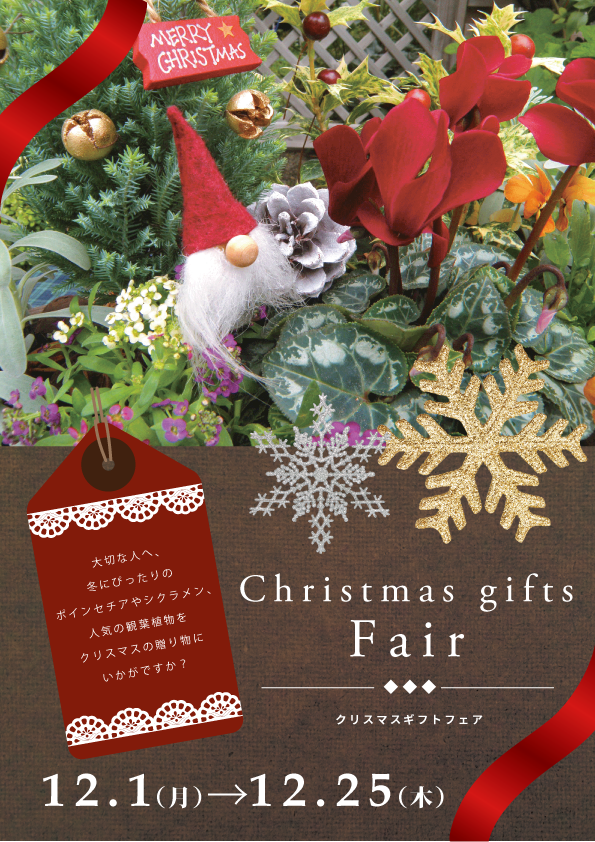 【二子玉川本店】12月のイベント情報