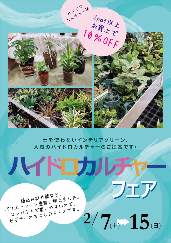 【ゆめが丘ソラトス店】２月のイベント情報