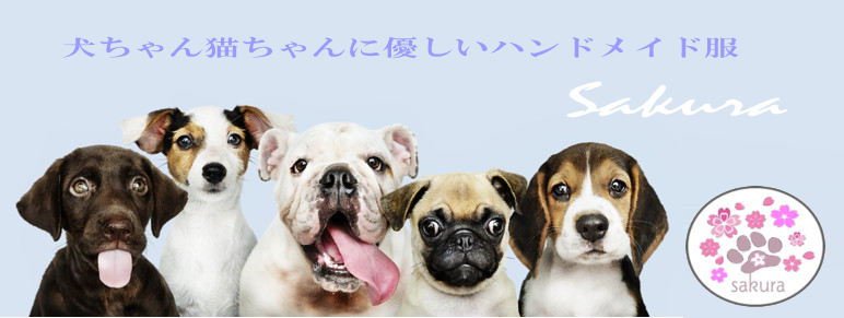 はじめまして。クチュリエMARIと店長Toyoと、モデル犬Sakuraをよろしくお願いします！！