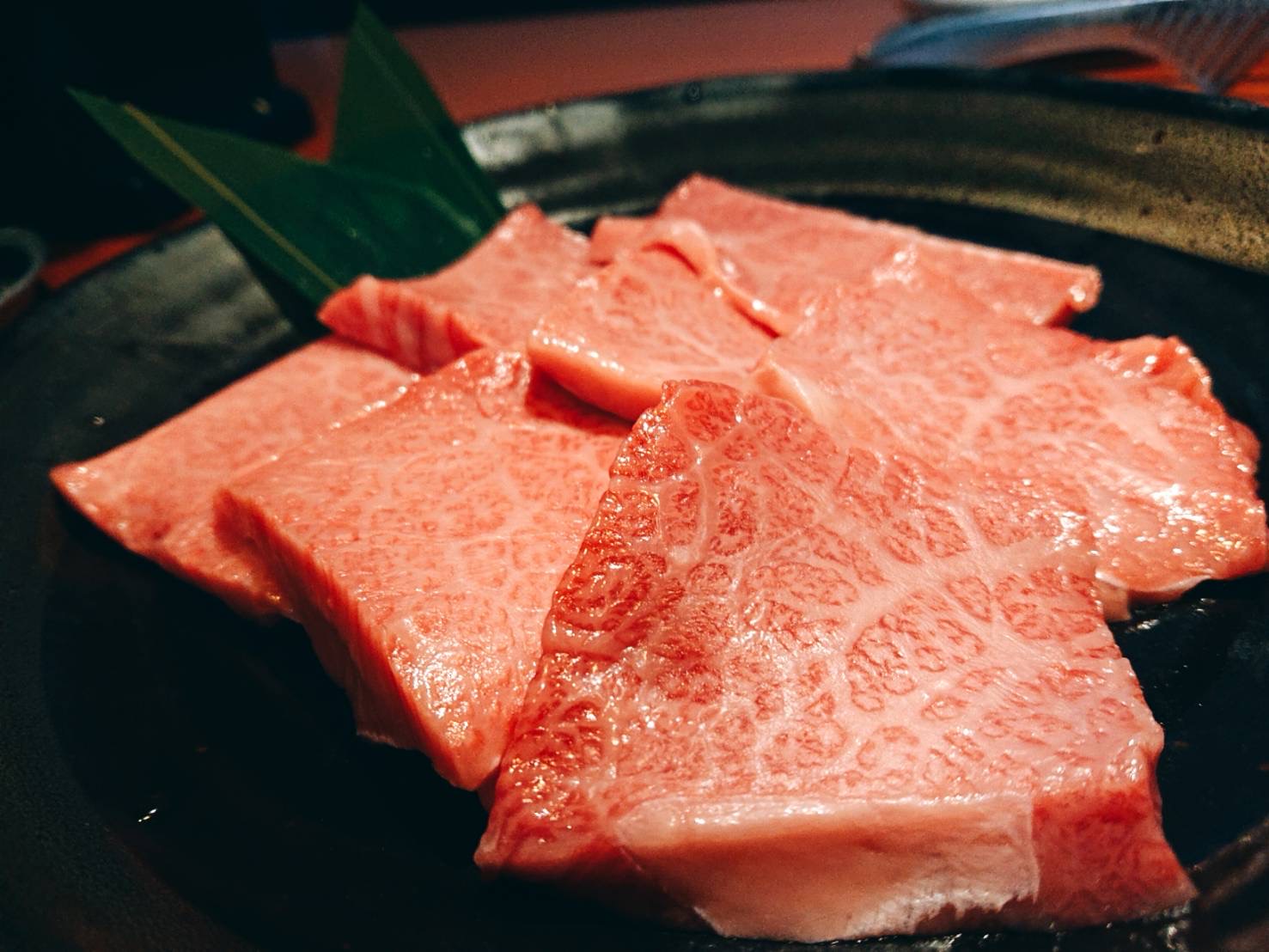 送料無料キャンペーン残りわずか！