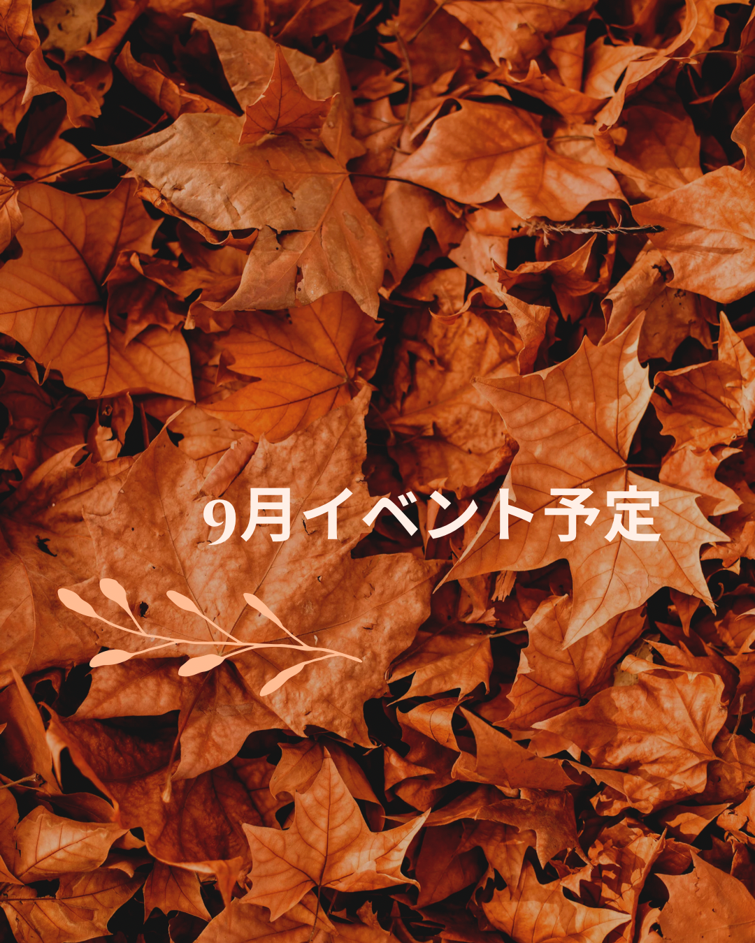 9月イベント予定