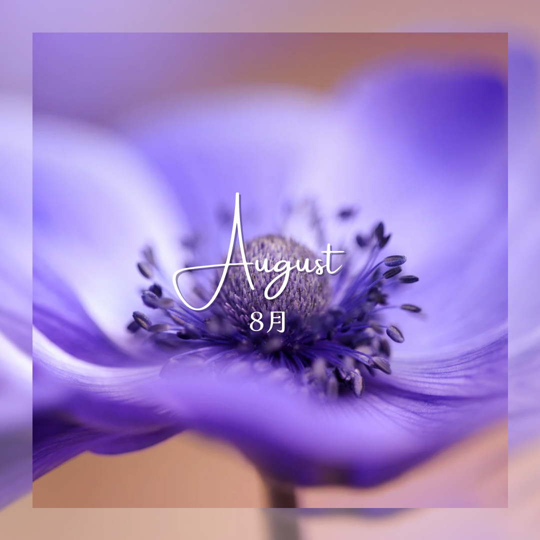 8月イベント予定