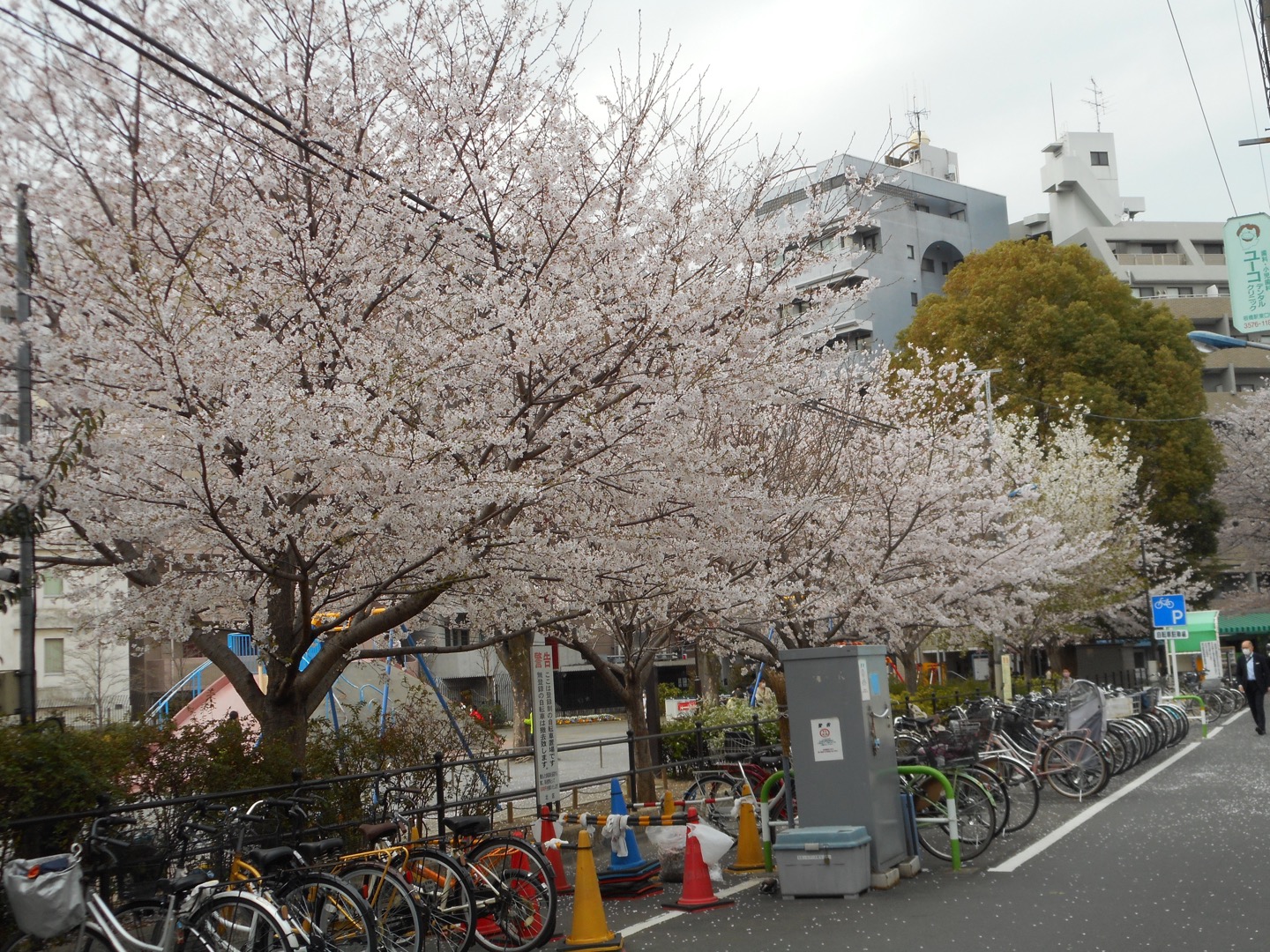 桜の町のアートコ横丁ありがとうございました