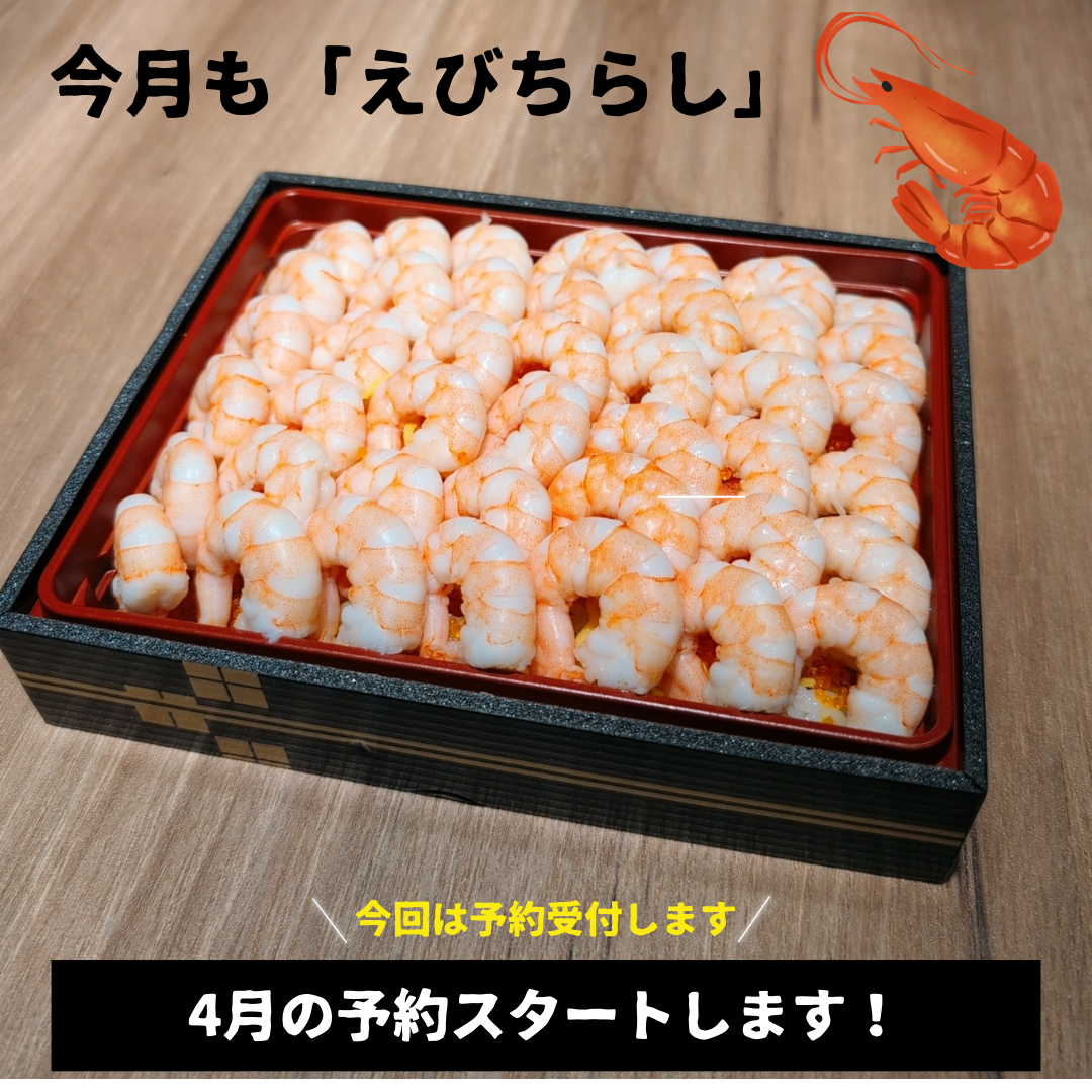 4月のえびちらし