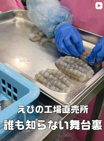 ​【えびの工場直売所、誰も知らない舞台裏】