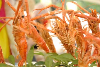 父の日ご利用いかがですか?