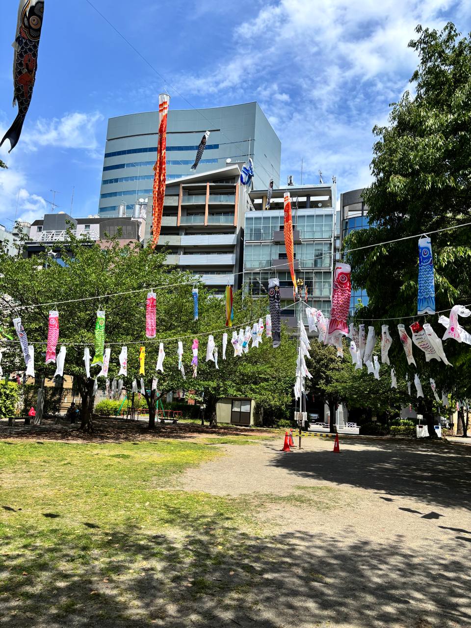 鯉のぼりがたくさん！11歳ちがいの姉妹とお散歩