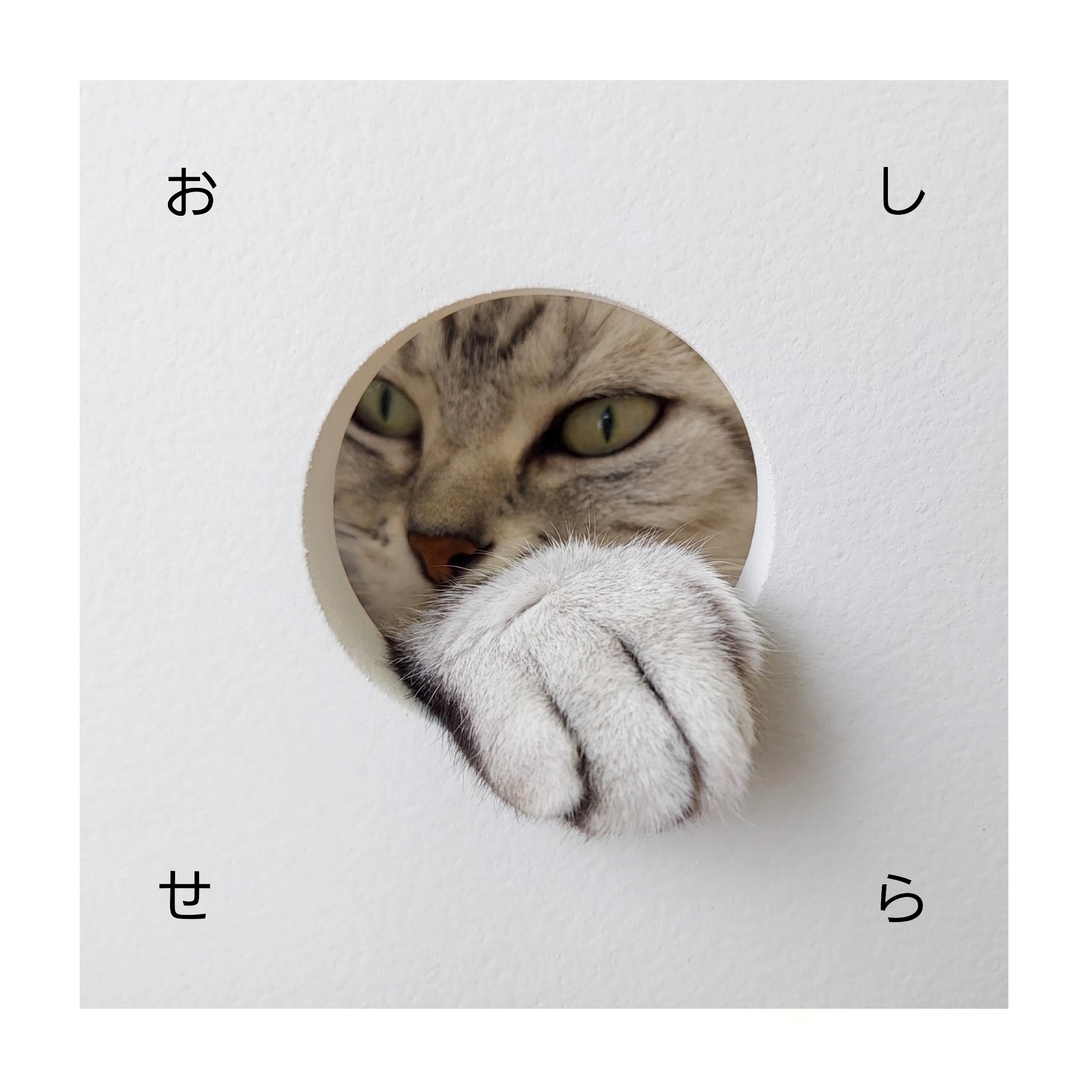 発送業務おやすみのお知らせ