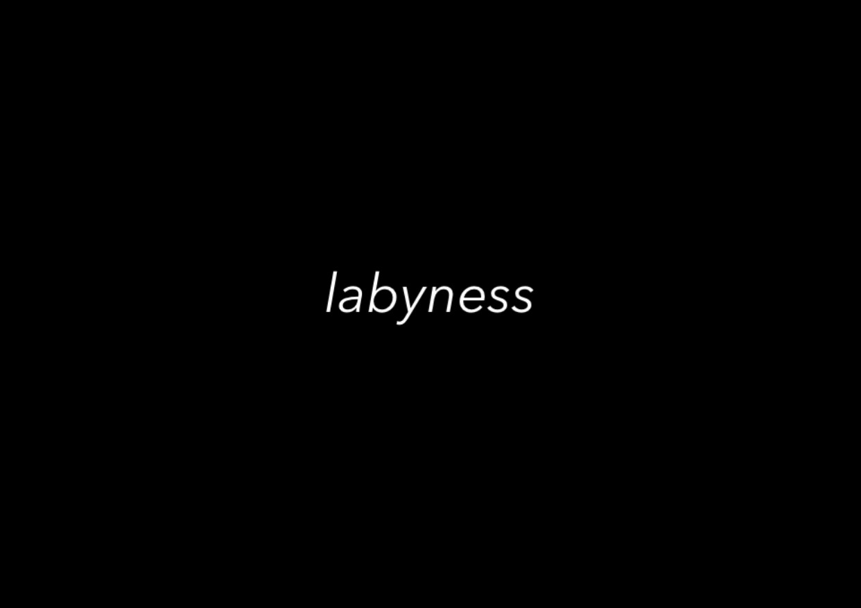 『Labyness株式会社』を設立