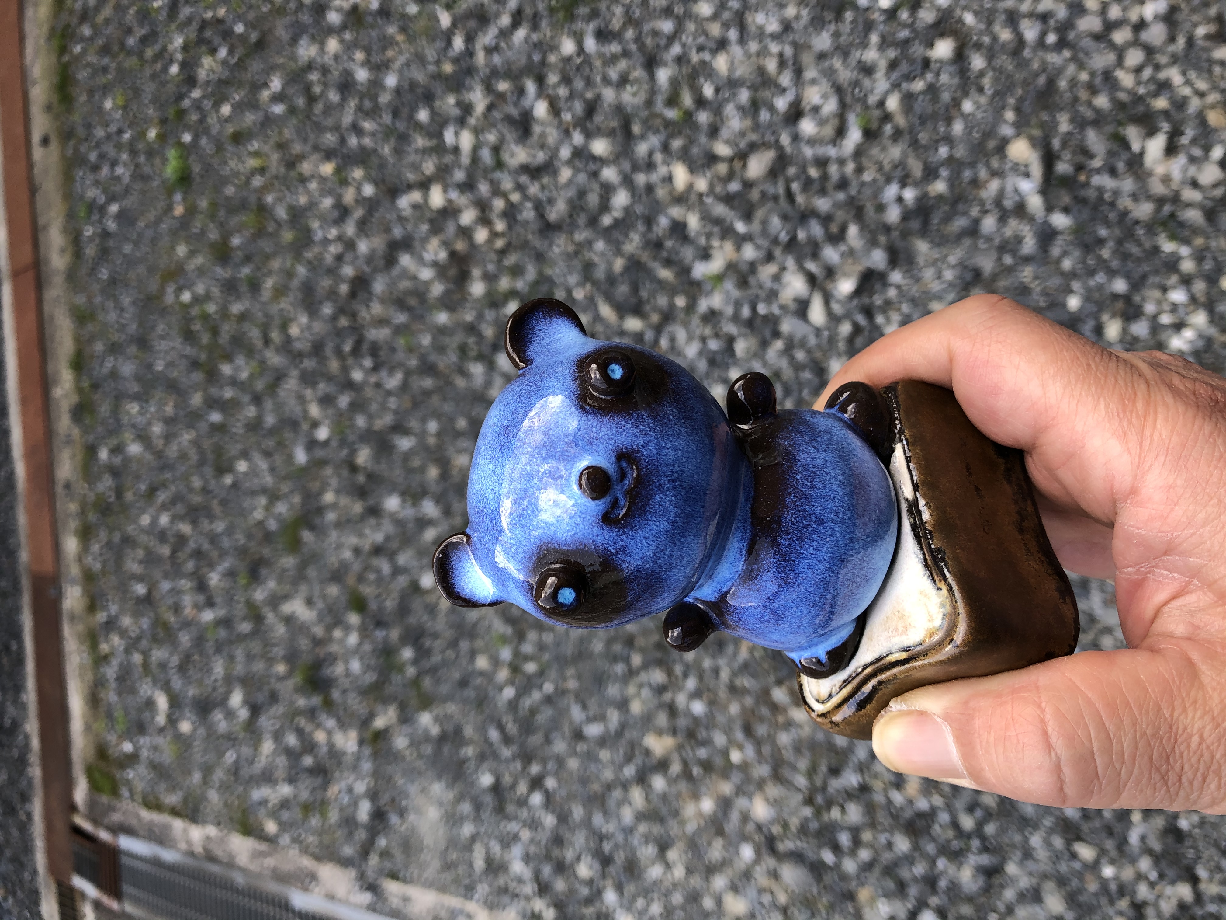 本日の1枚
