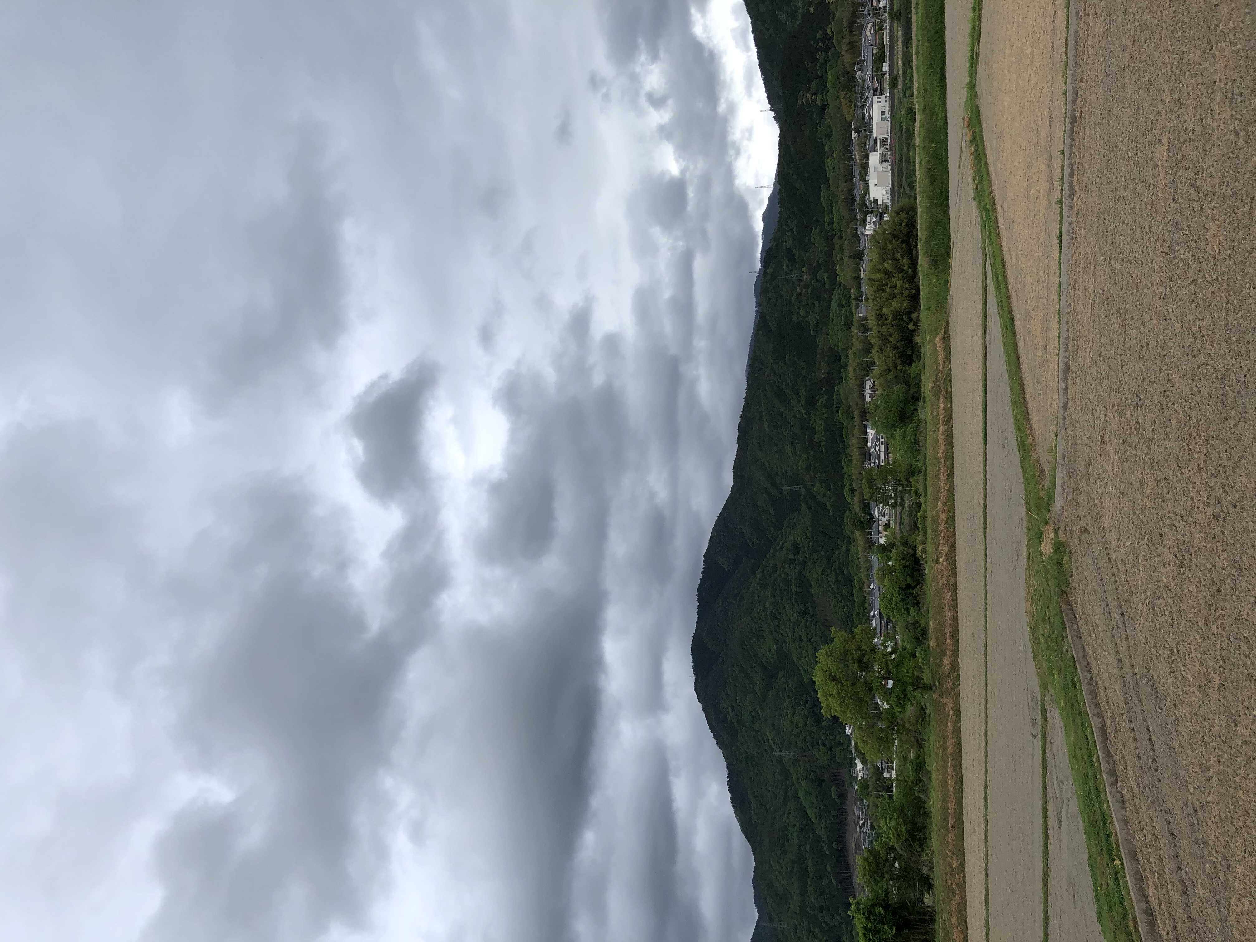 今日のウォーキング！