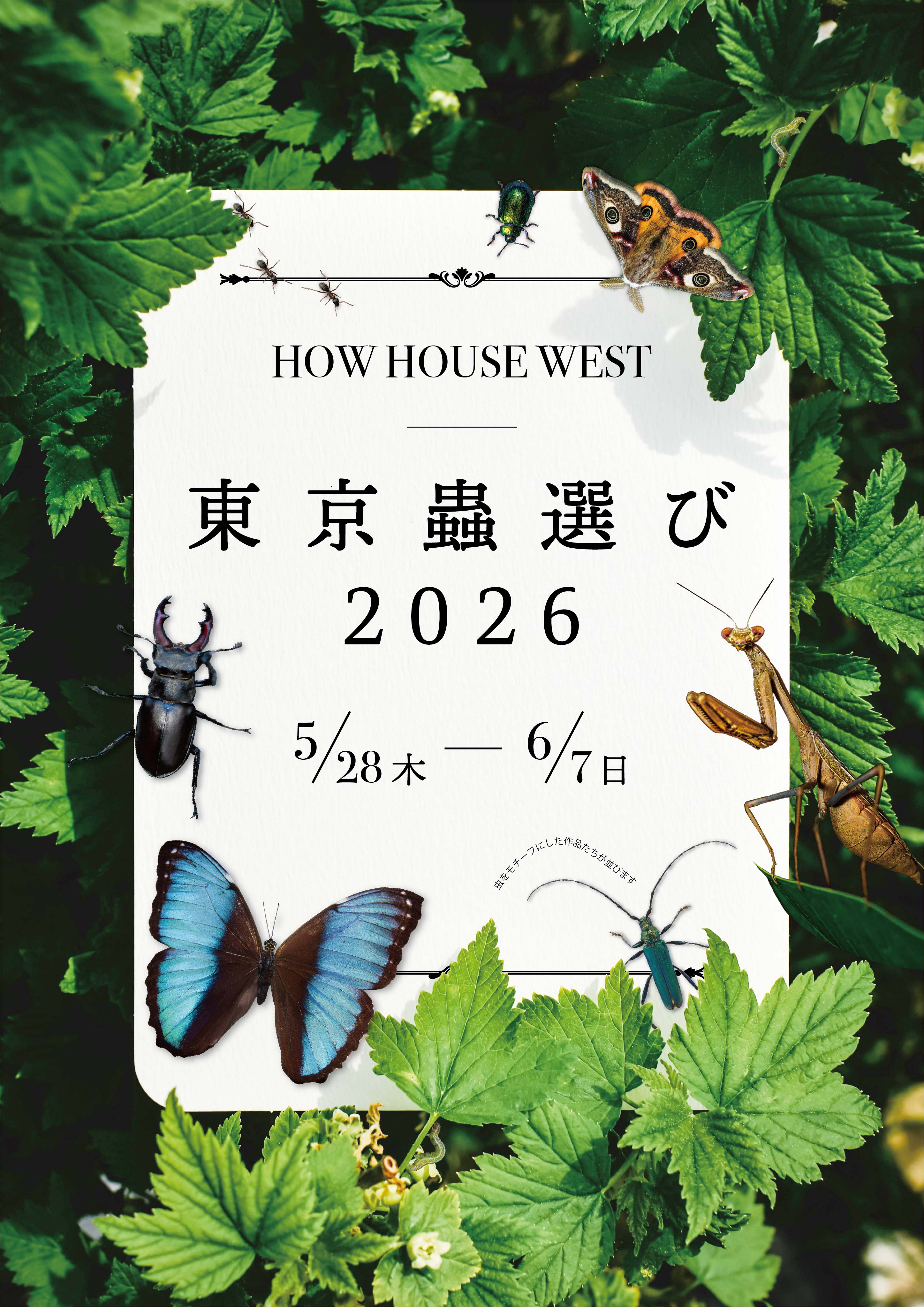 7/19まで！企画展「東京蟲選び2026」の一部作品、グッズ販売中です！