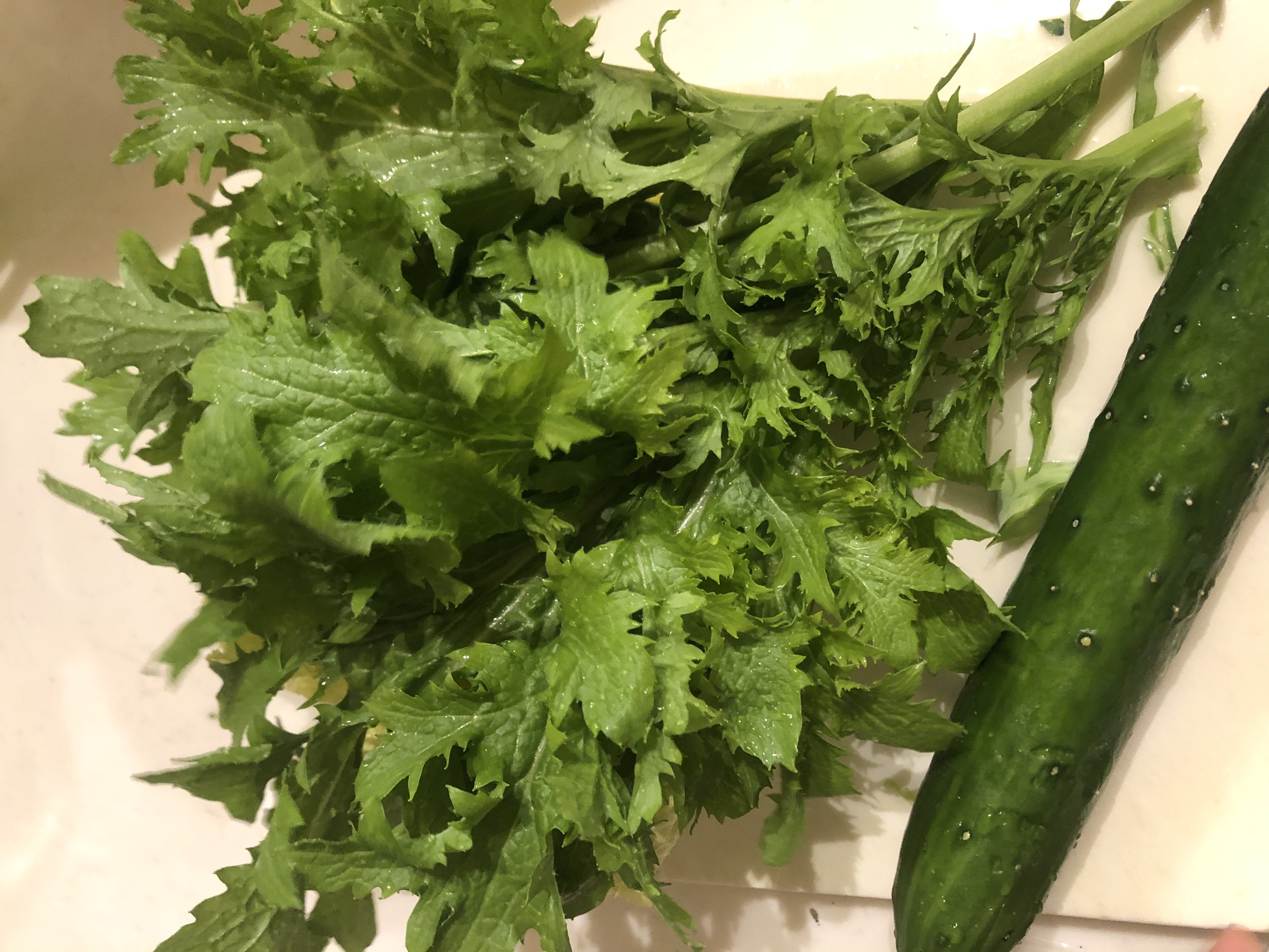 わさび菜を食べてみました！