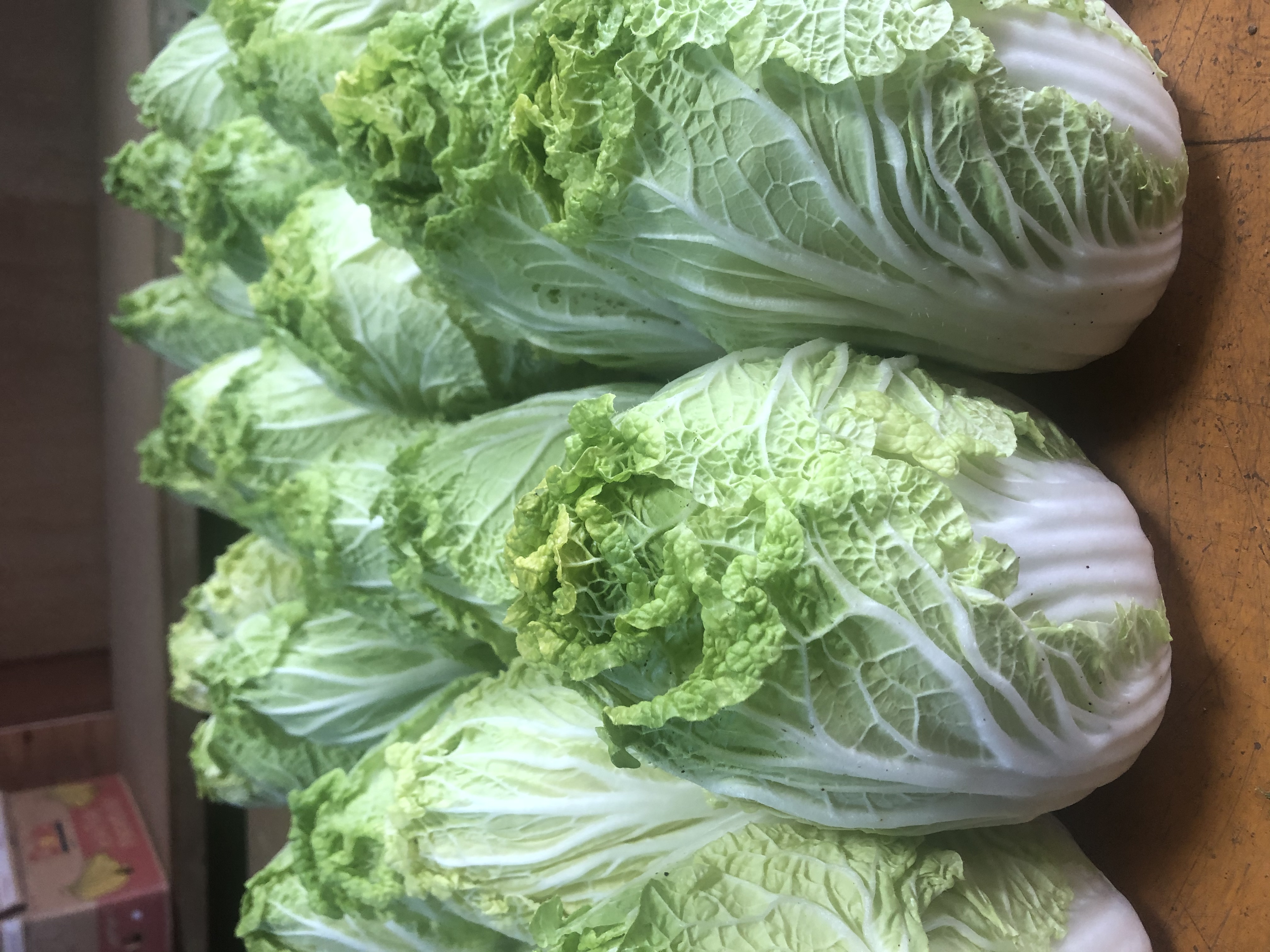 今が旬のミニ白菜