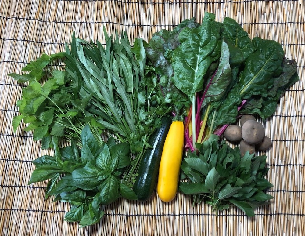 創葉舎のこだわりオーガニック野菜