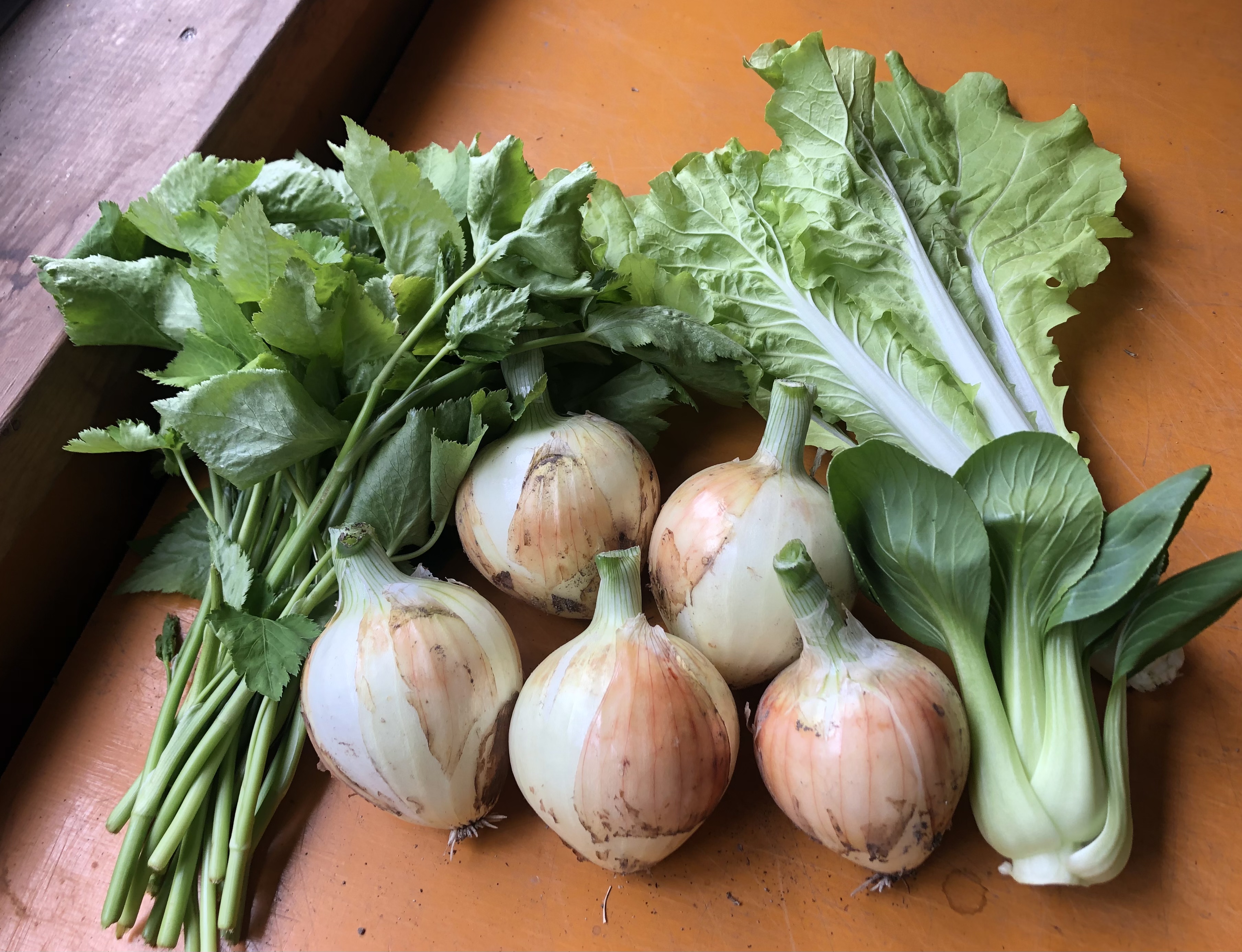 最近の野菜たち😊