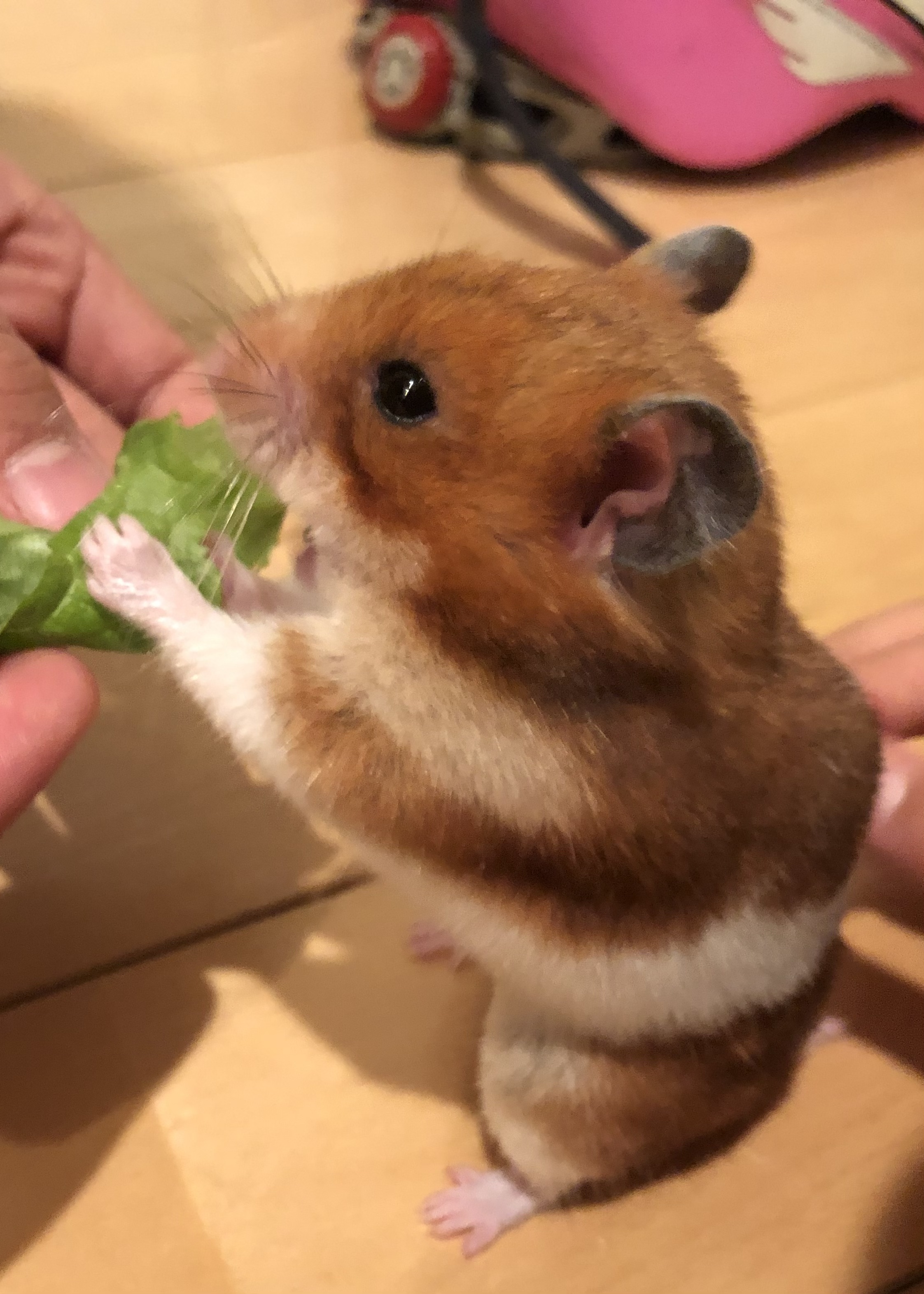 仕事納め
