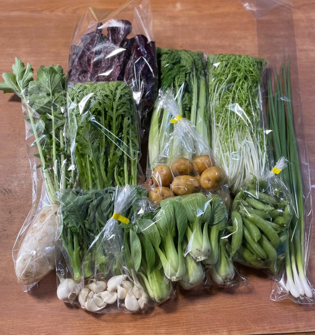 セット野菜用に色々収穫しました