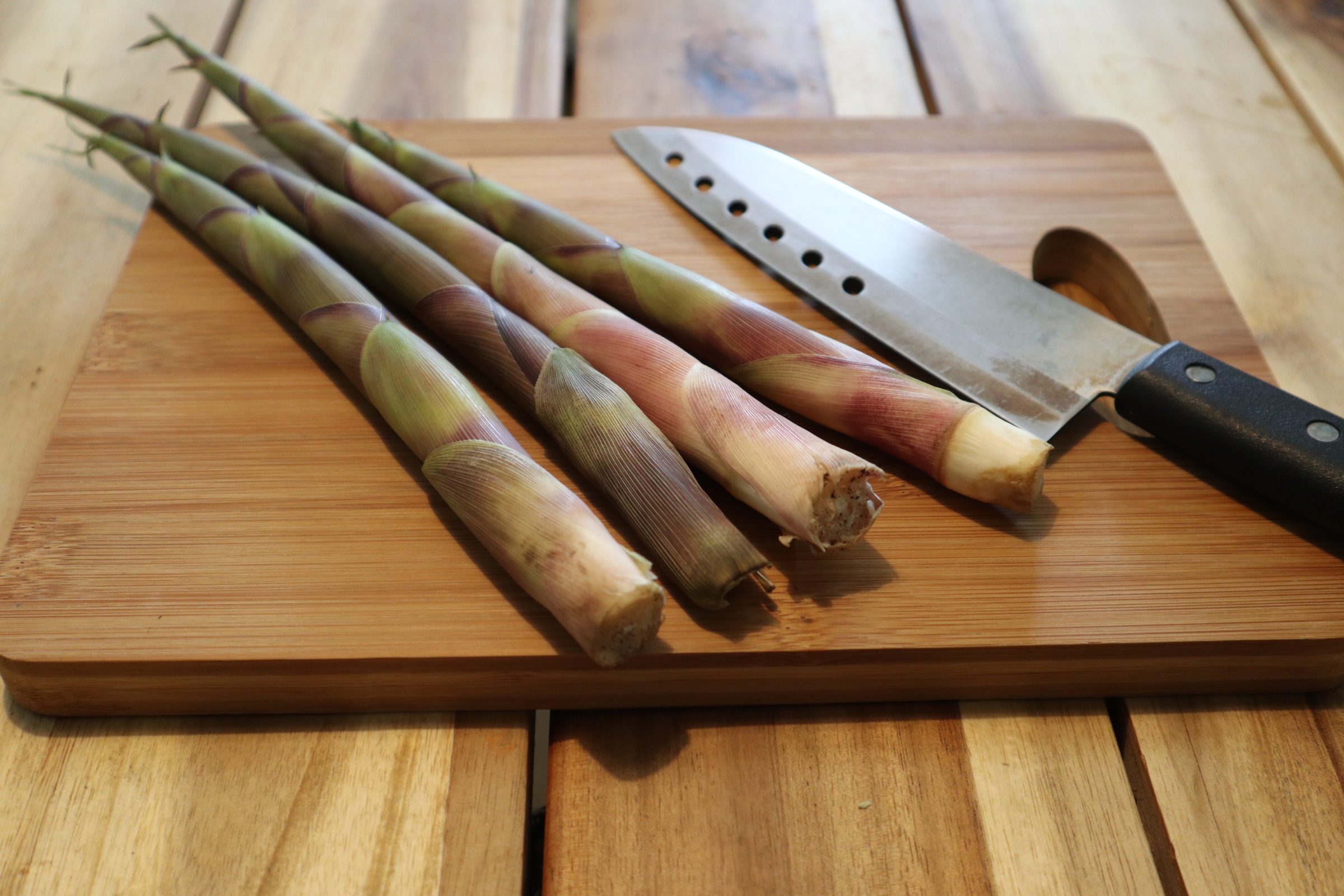 How to 山菜料理！〜根曲り竹の皮の剥き方をご紹介します〜