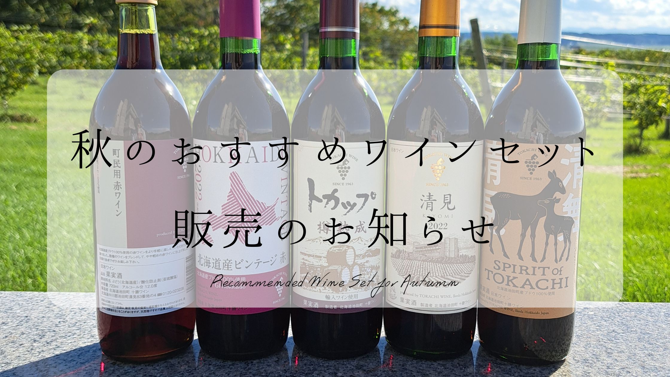 🍂秋のおすすめワインセット 販売のお知らせ🍂