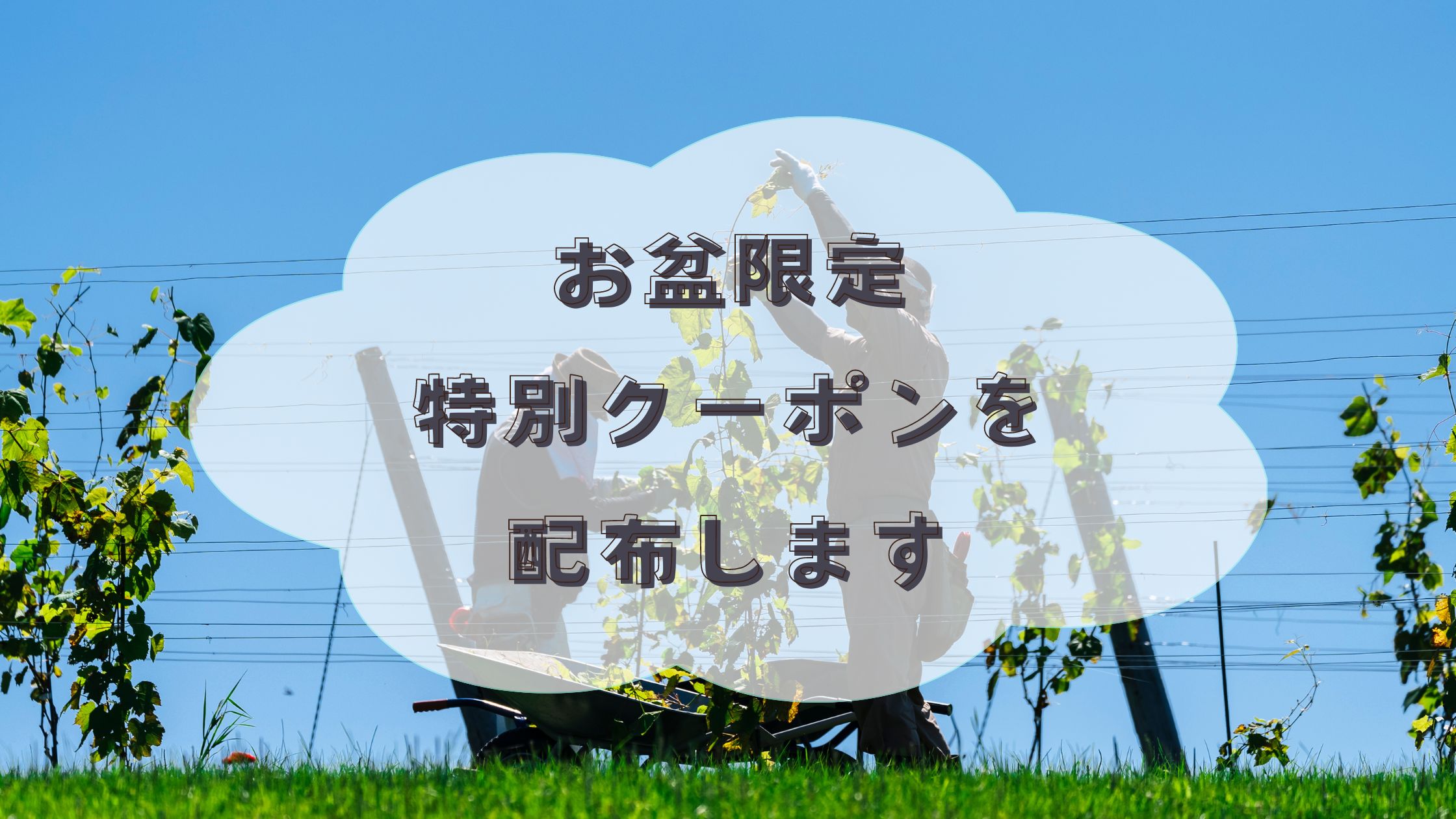 🎇お盆特別企画🎇