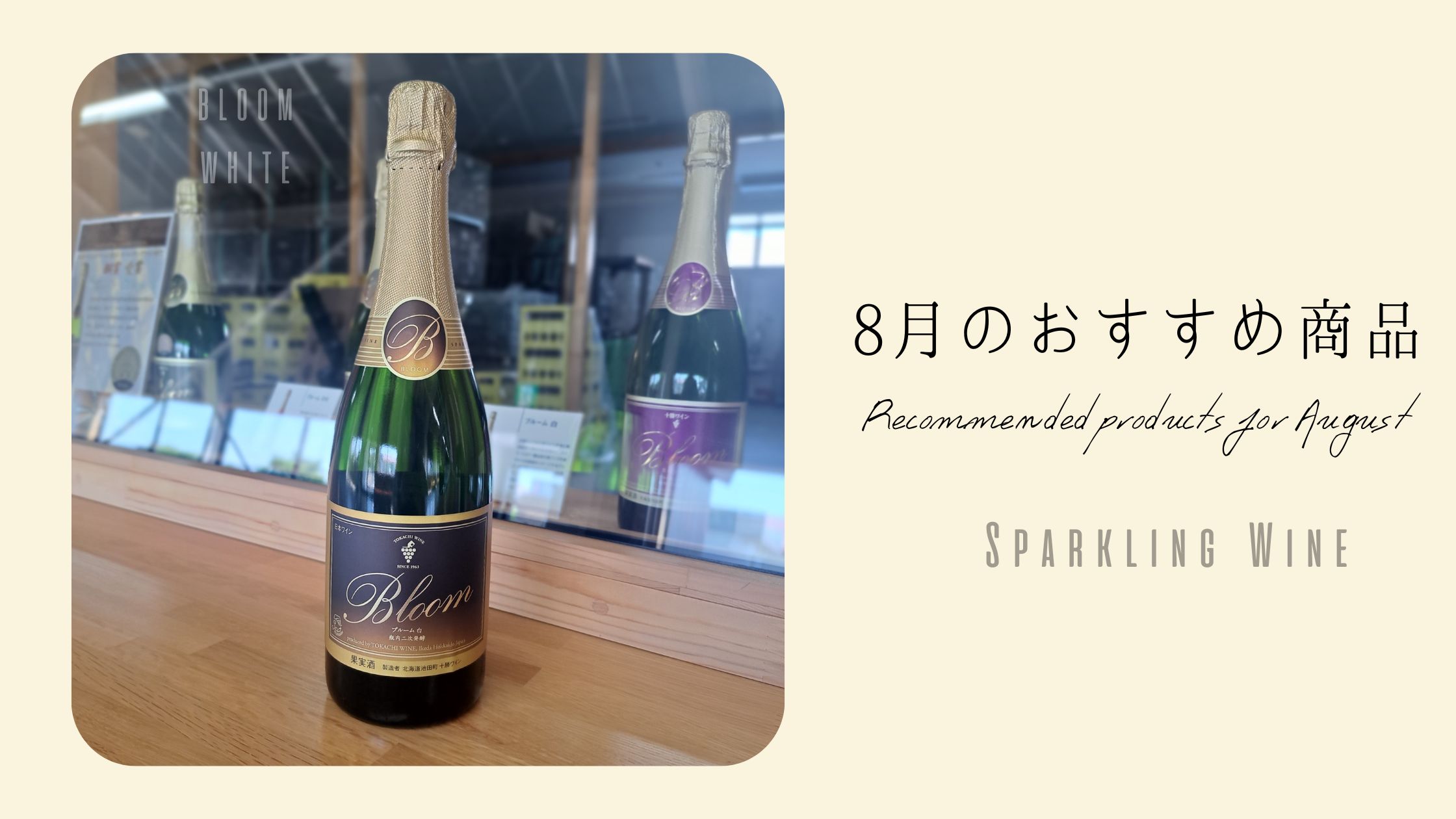 8月のおすすめ商品🎆
