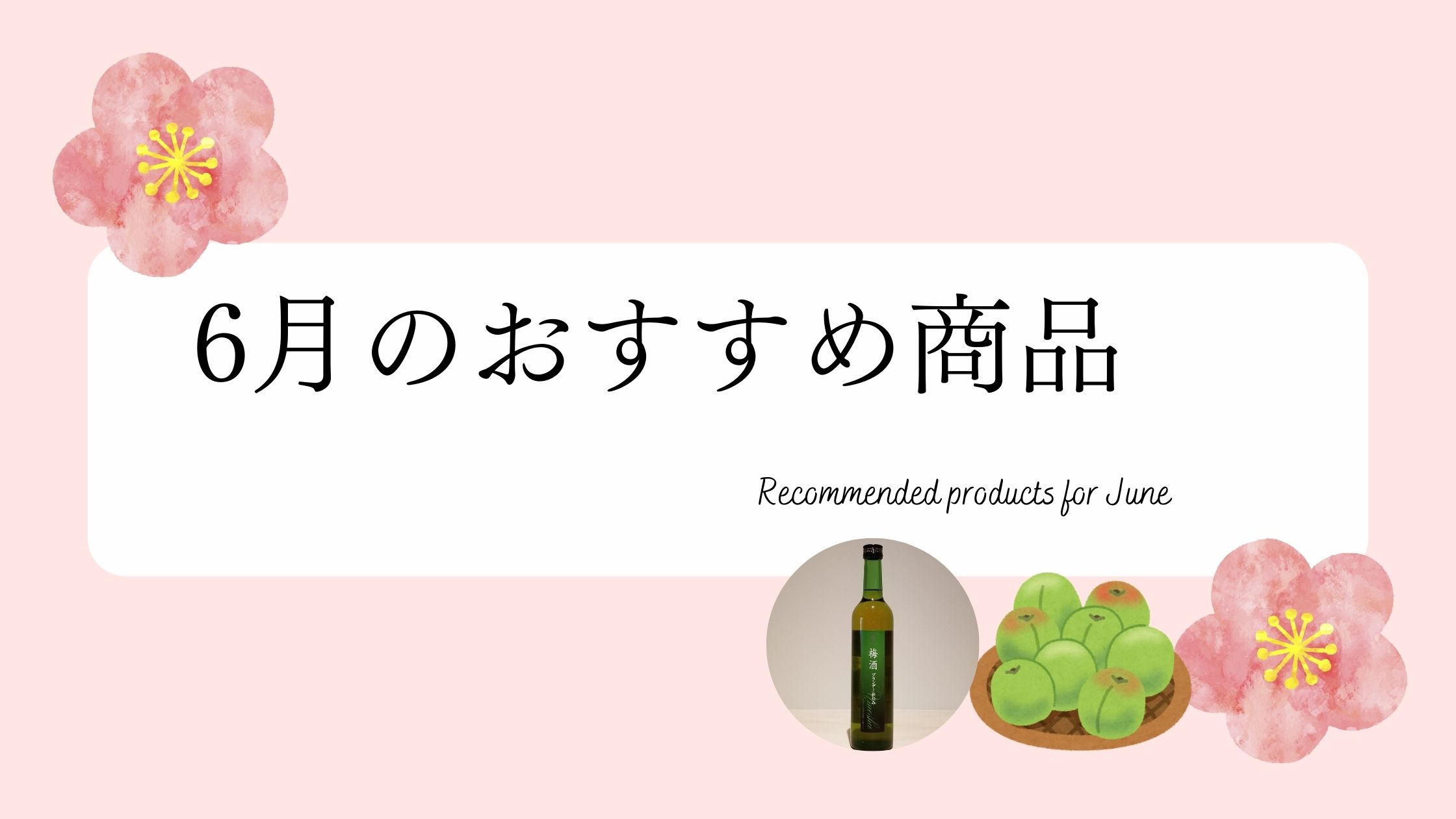 6月のおすすめ商品🐌