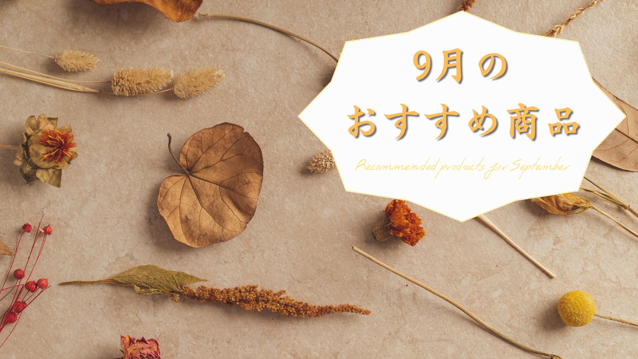 9月のおすすめ商品🎑