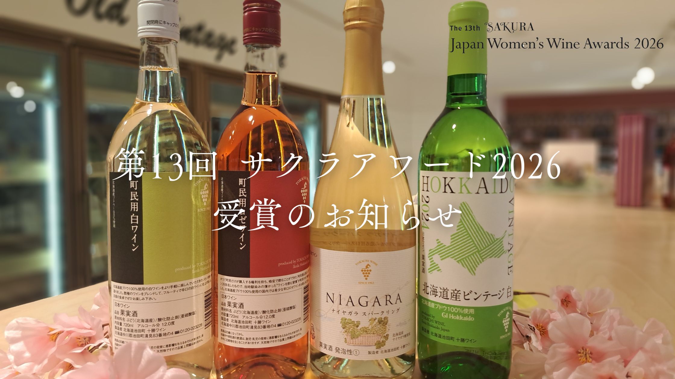 第13回 サクラアワード2026 受賞のお知らせ🏆