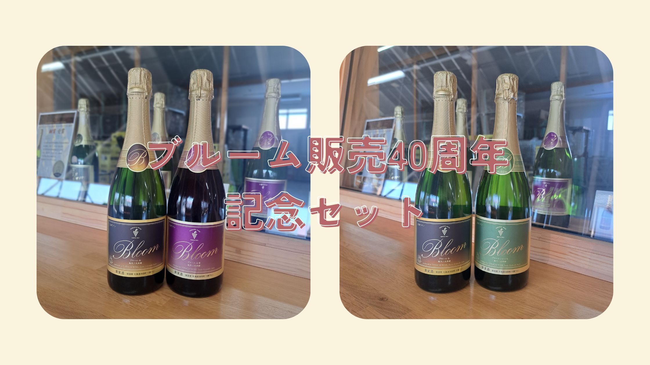 🥂ブルーム 40周年記念セットを販売します 🥂