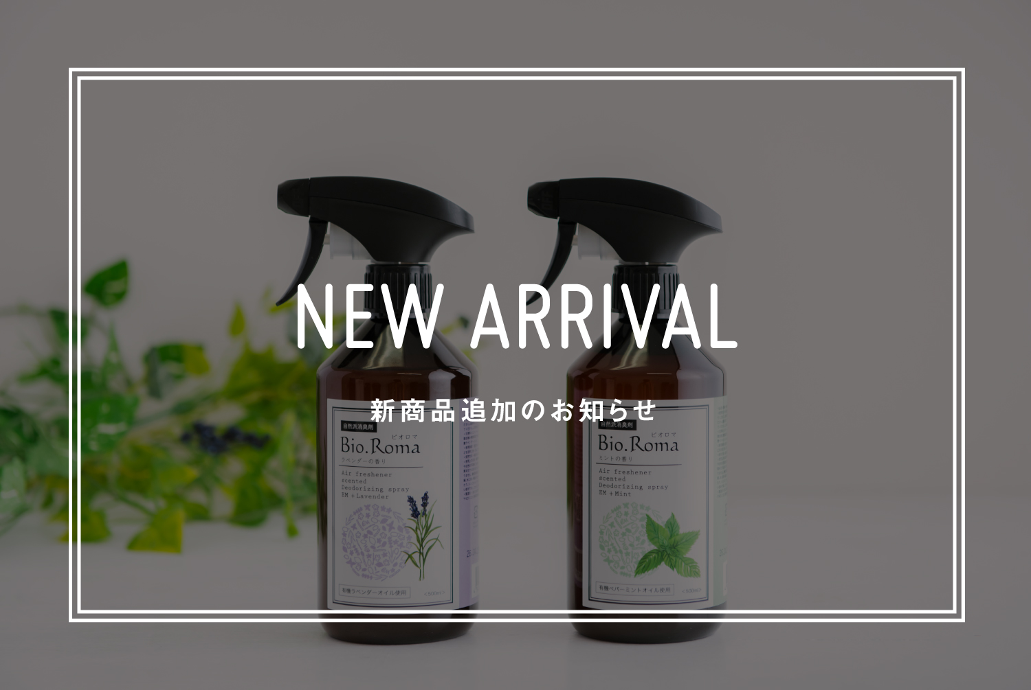 【新商品入荷のお知らせ】