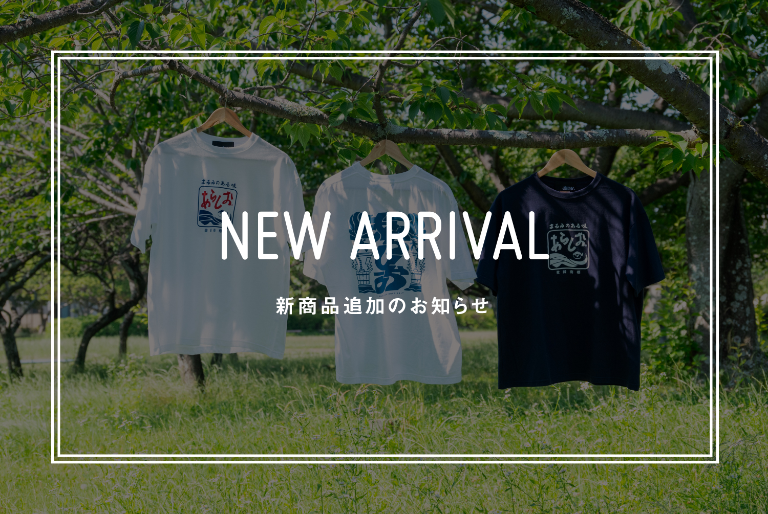 【新商品入荷のお知らせ】