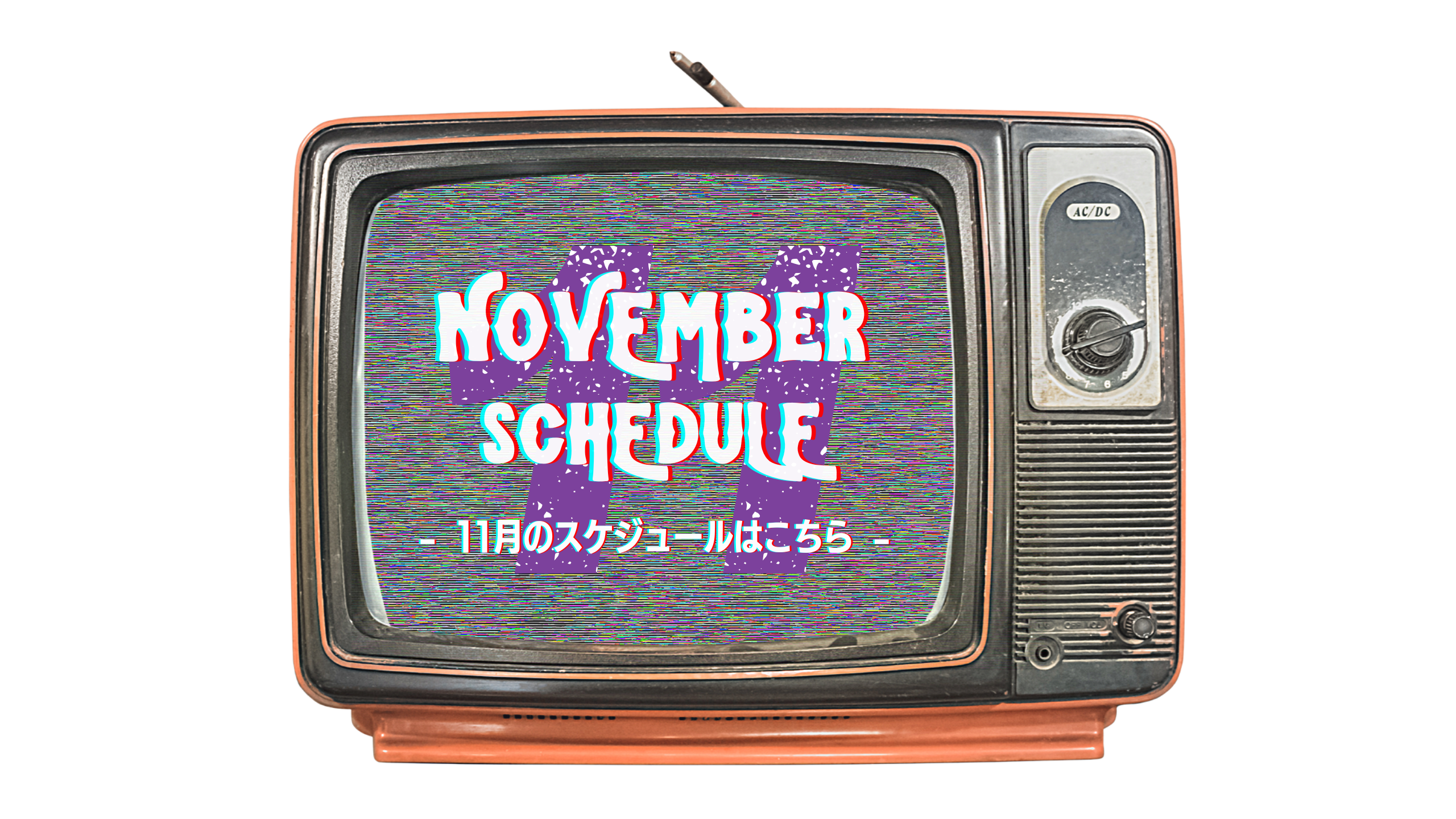2026年11月のスケジュール